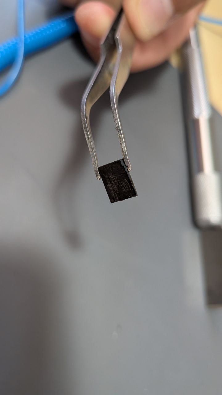 Chip